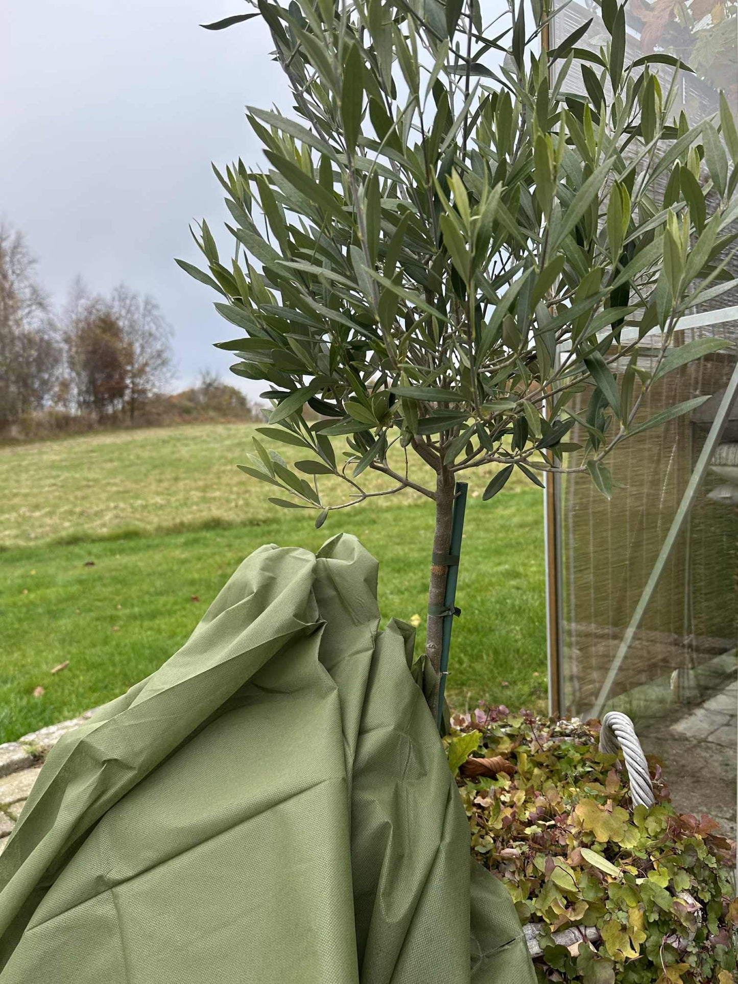 Plantebeskyttelse - 10 meter