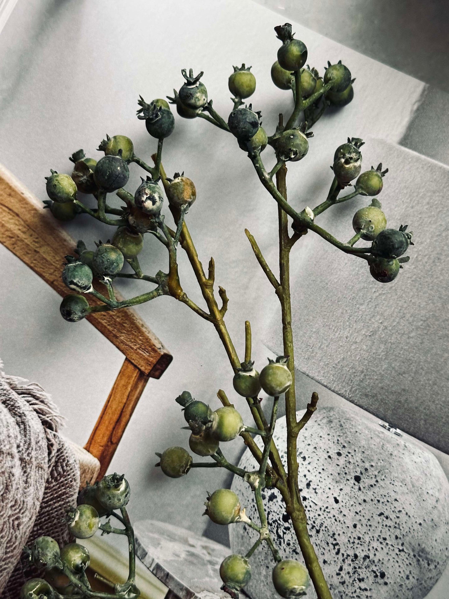 Blomst Mariebær