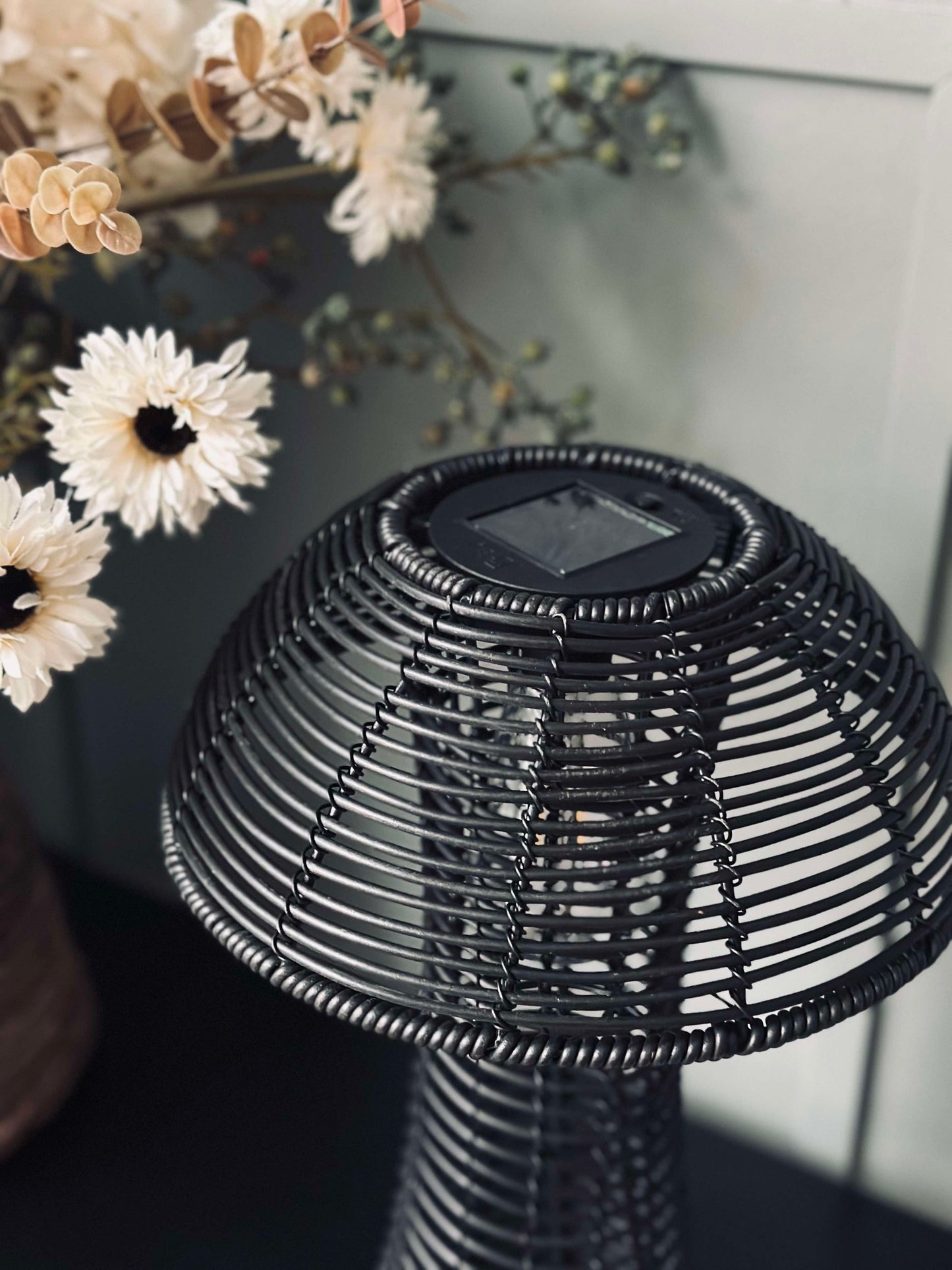 Mushroom Solar - Black Large