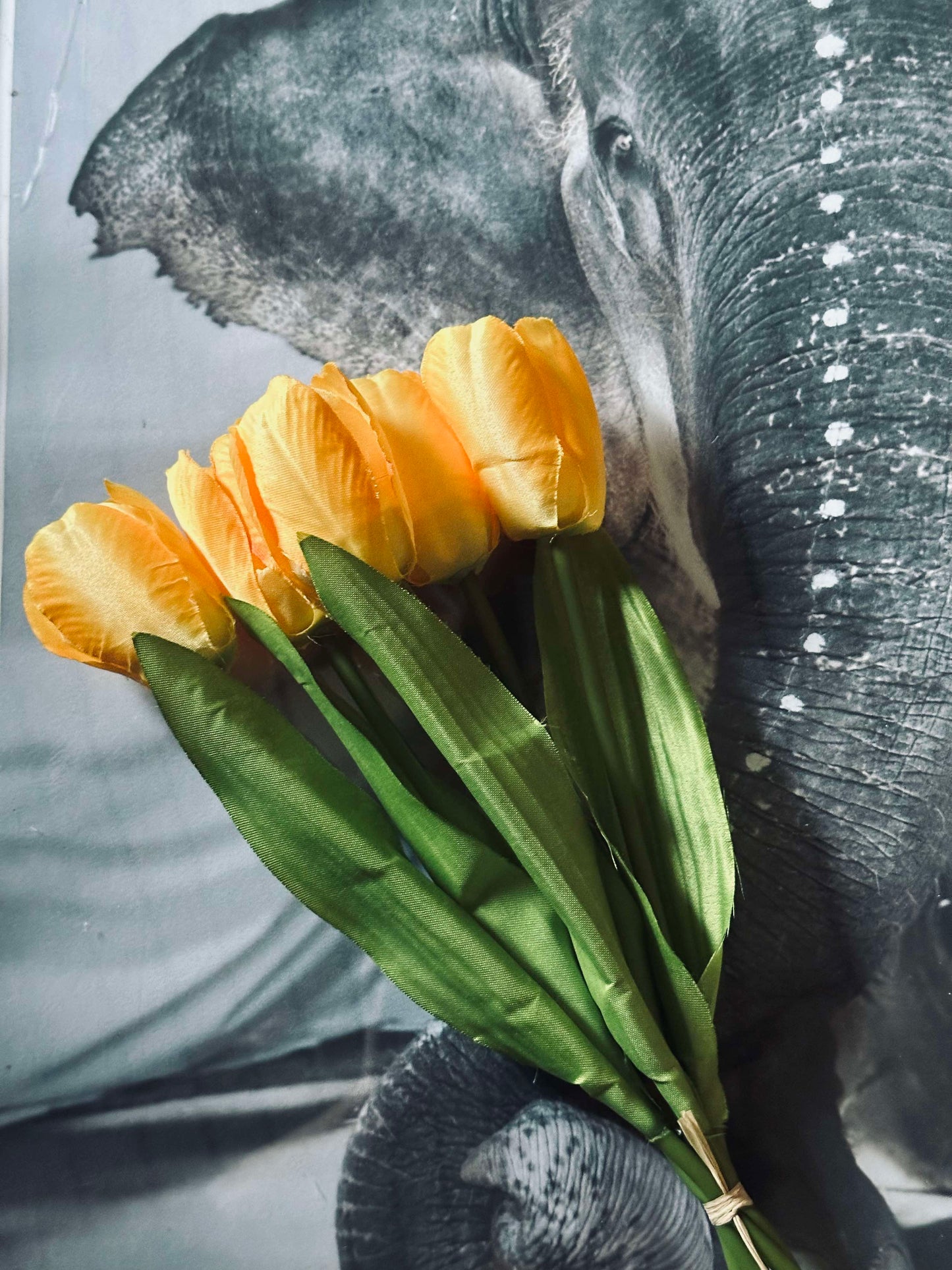 Tulipaner Gul