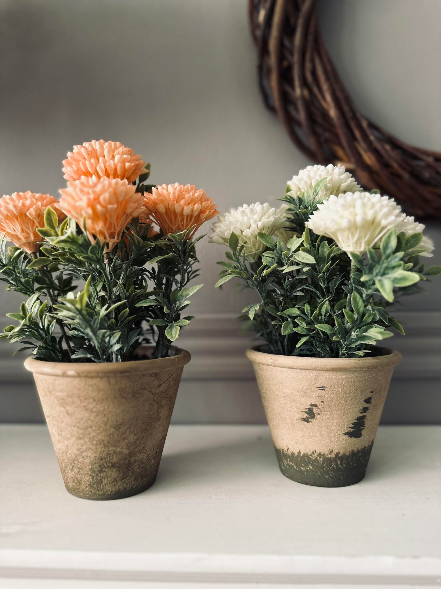 Blomst i rustik potte - Coral