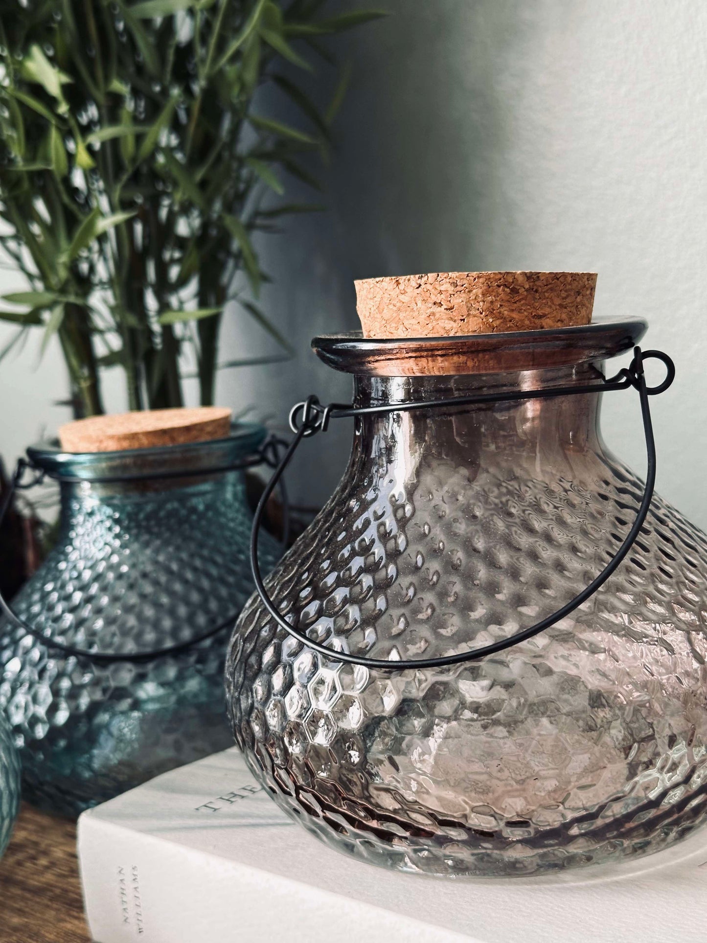Hvepsefanger med korkprop – Mix