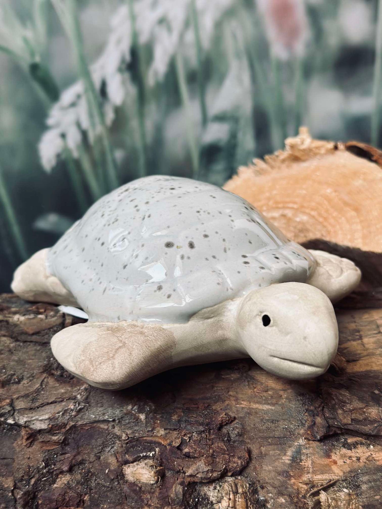 Skildpadde MIX