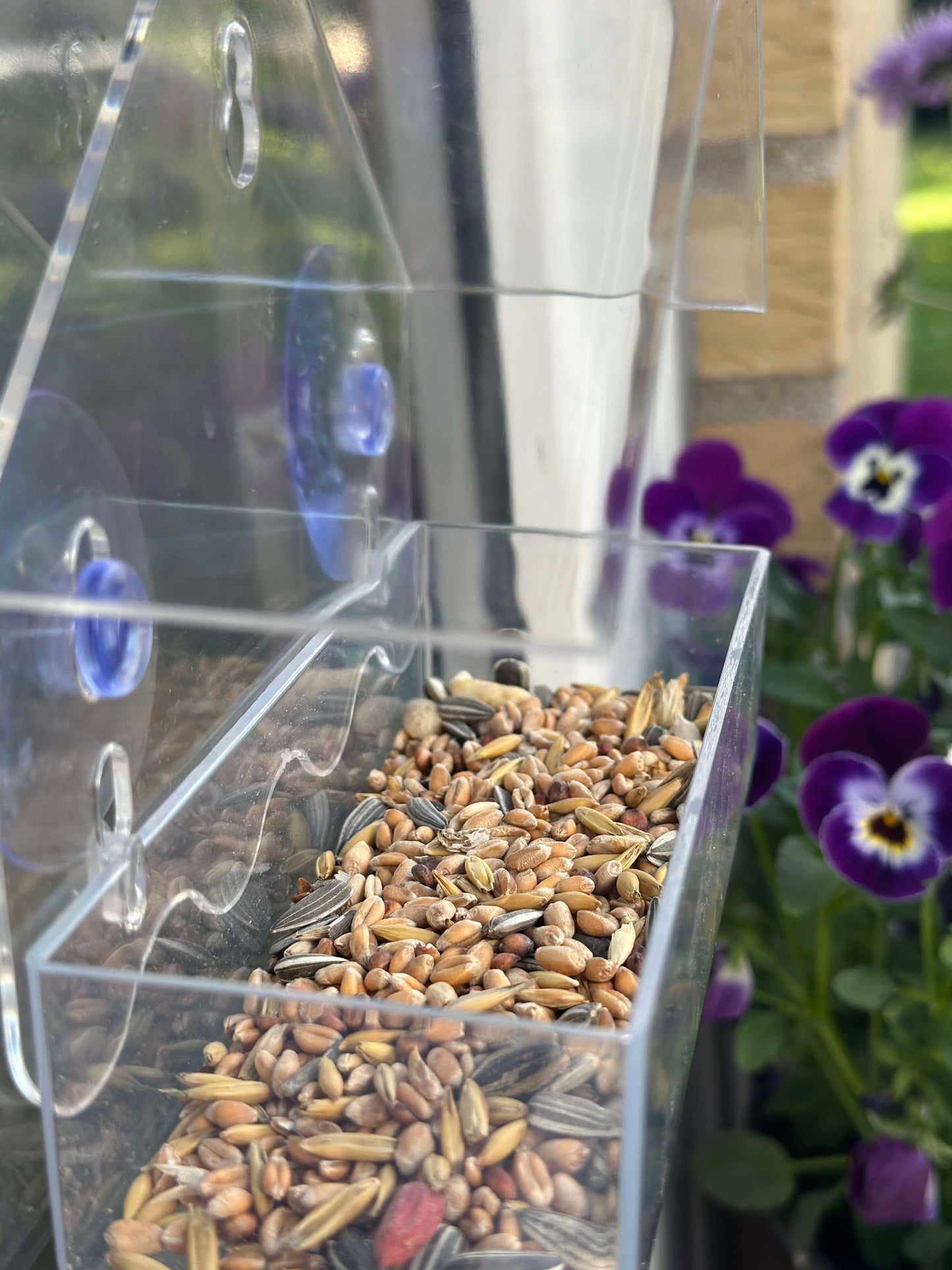 Fugle foderhus m. Sugekop