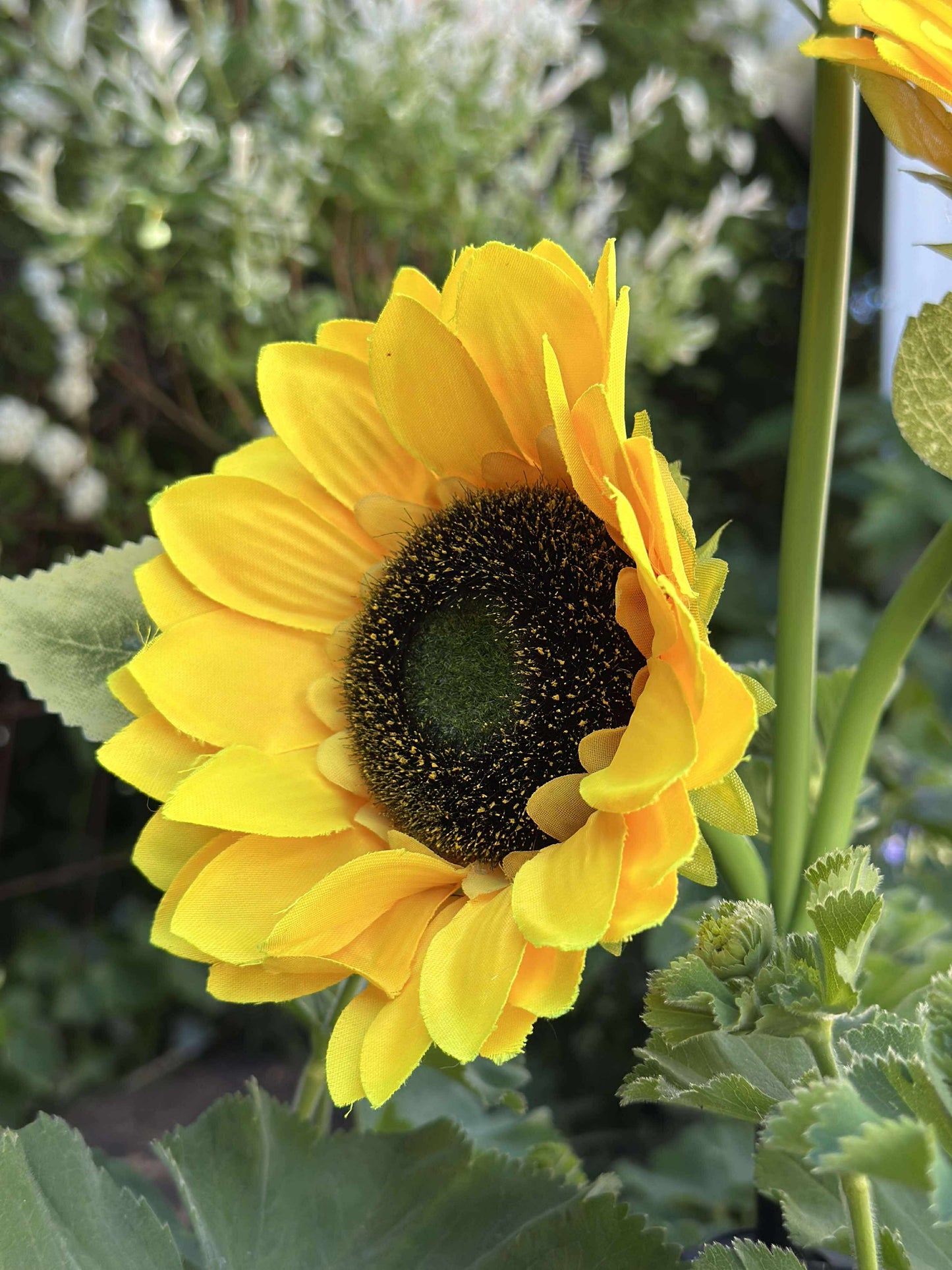 Solsikke med solceller