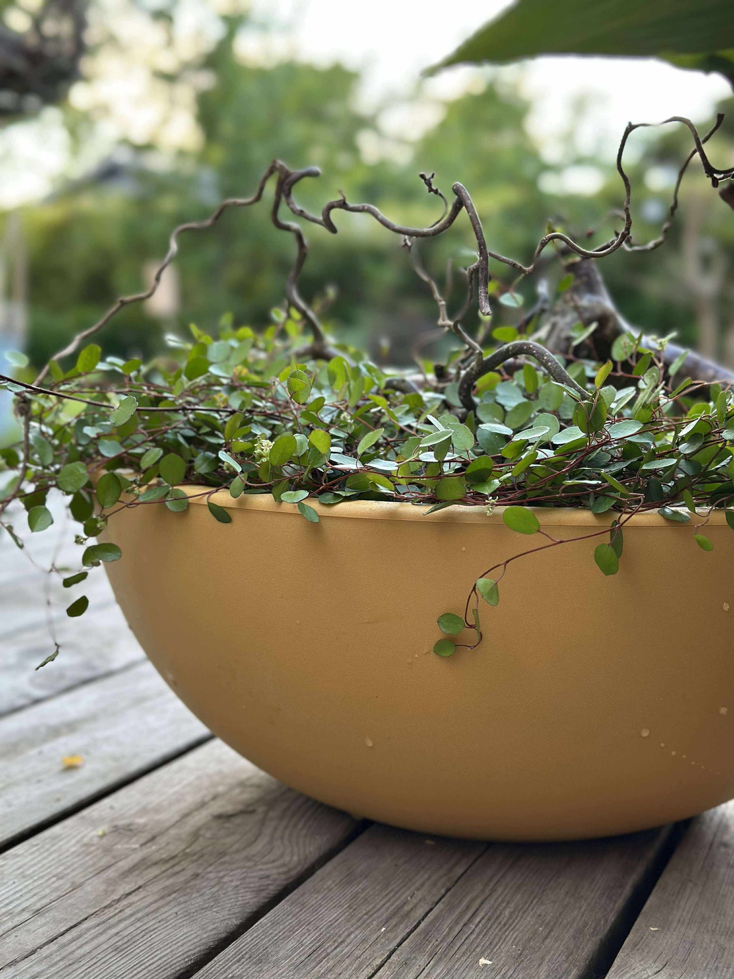 Spejlbassin i recycling plast - Yellow