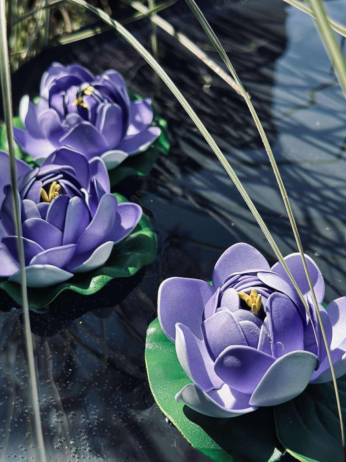 Lotus - Flere farver