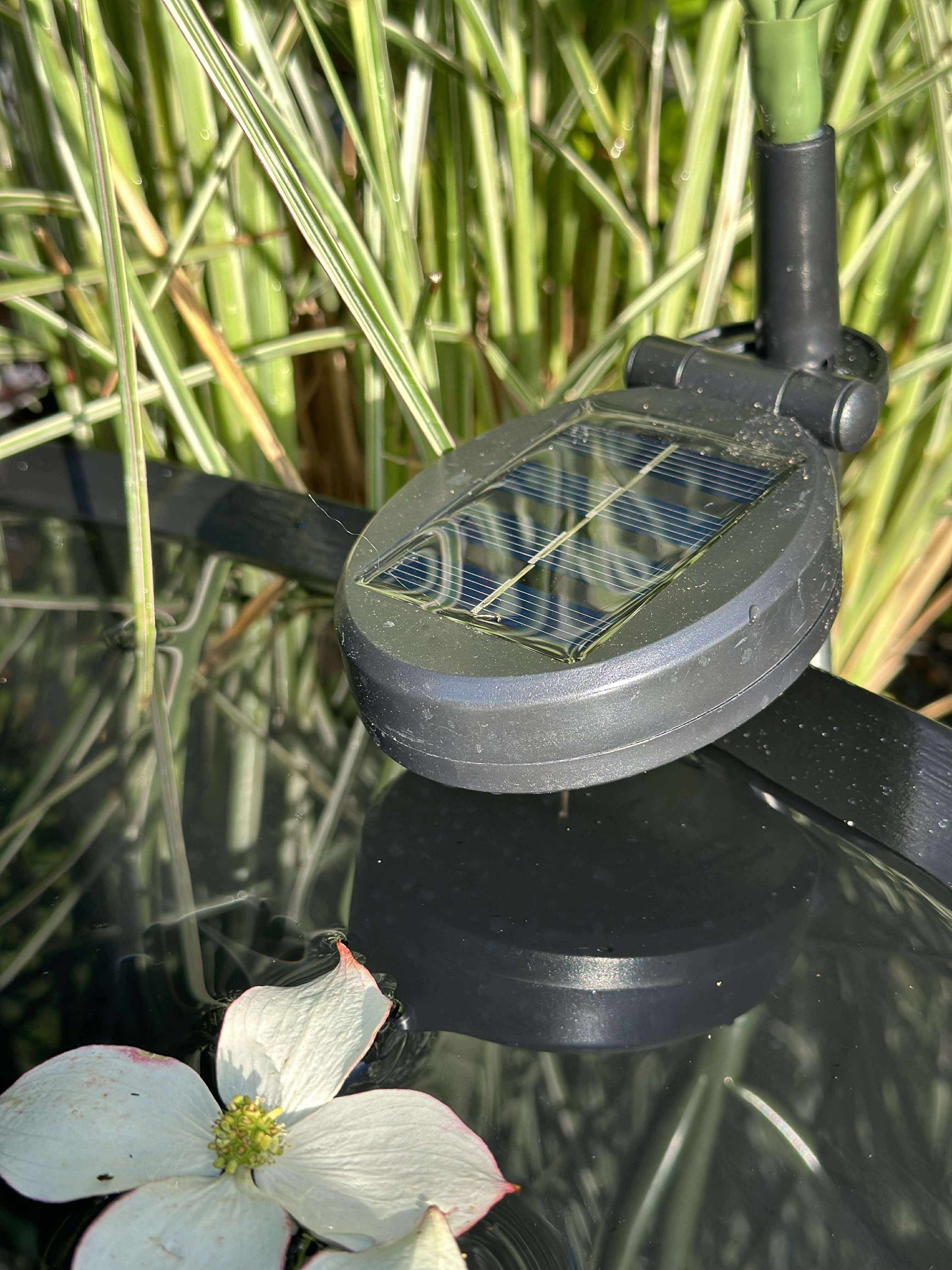 Hortensia med solceller - Hvid