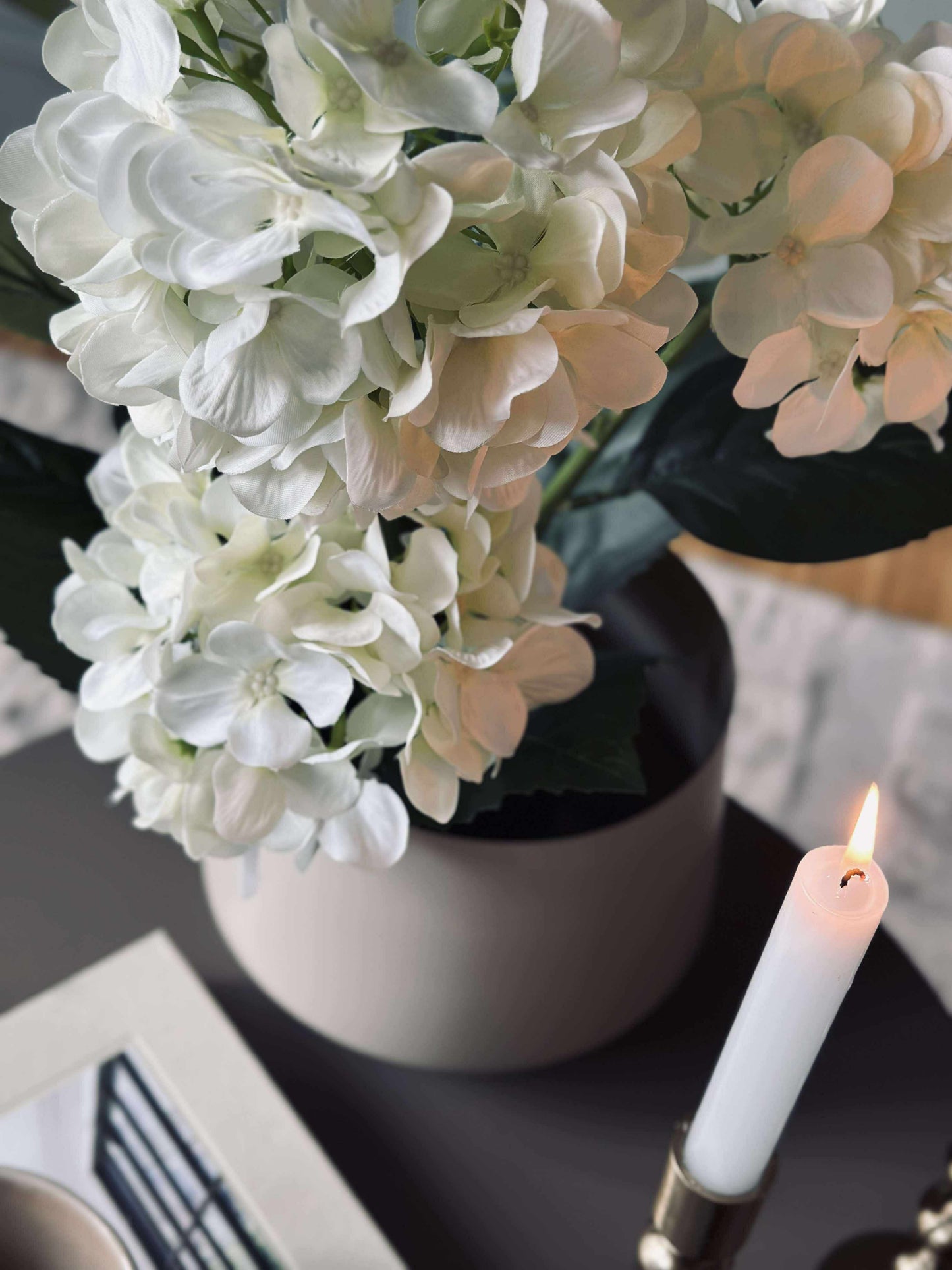 Hortensia i potte - Hvid