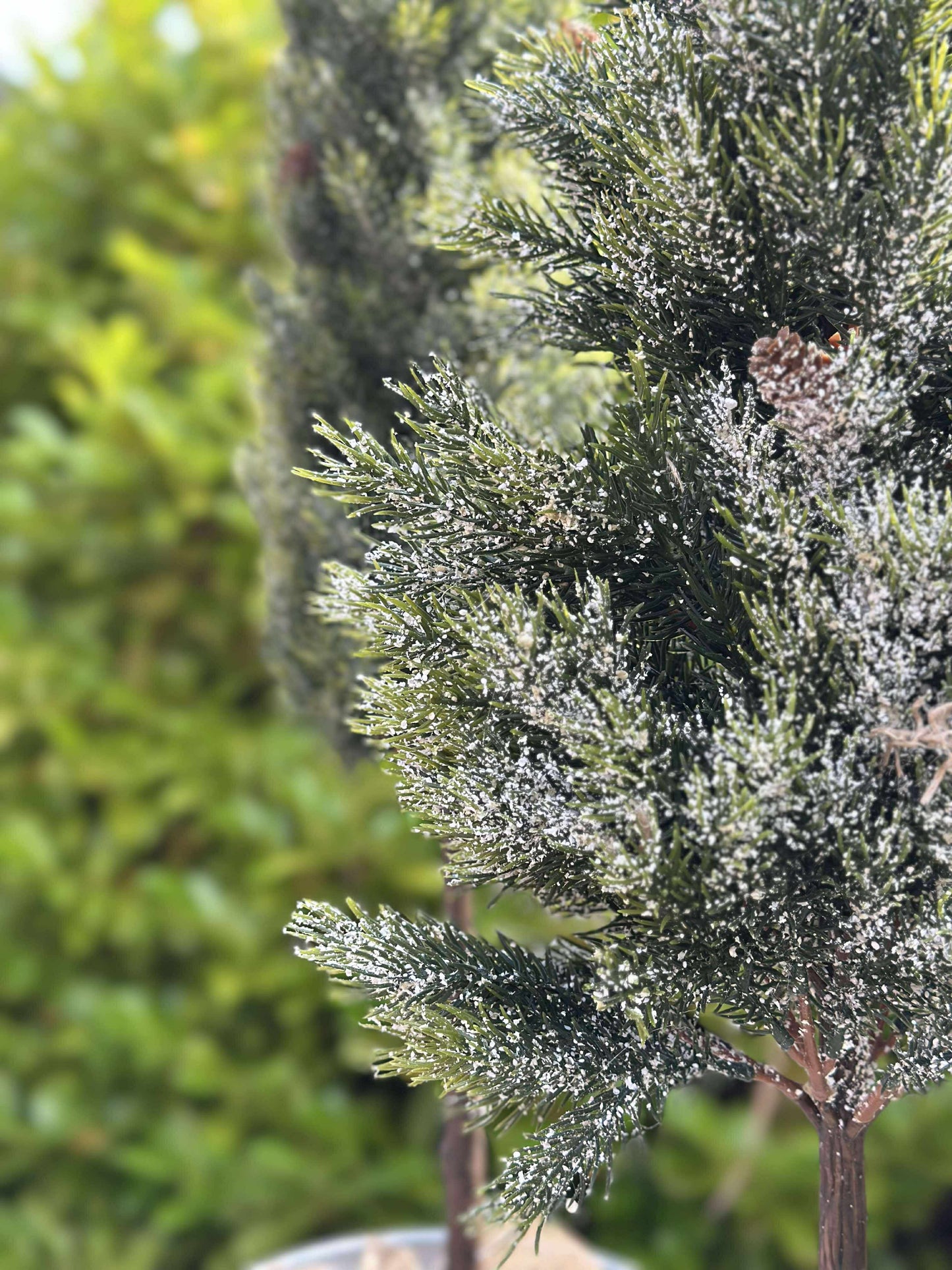 Pinetree MIX - 106 cm