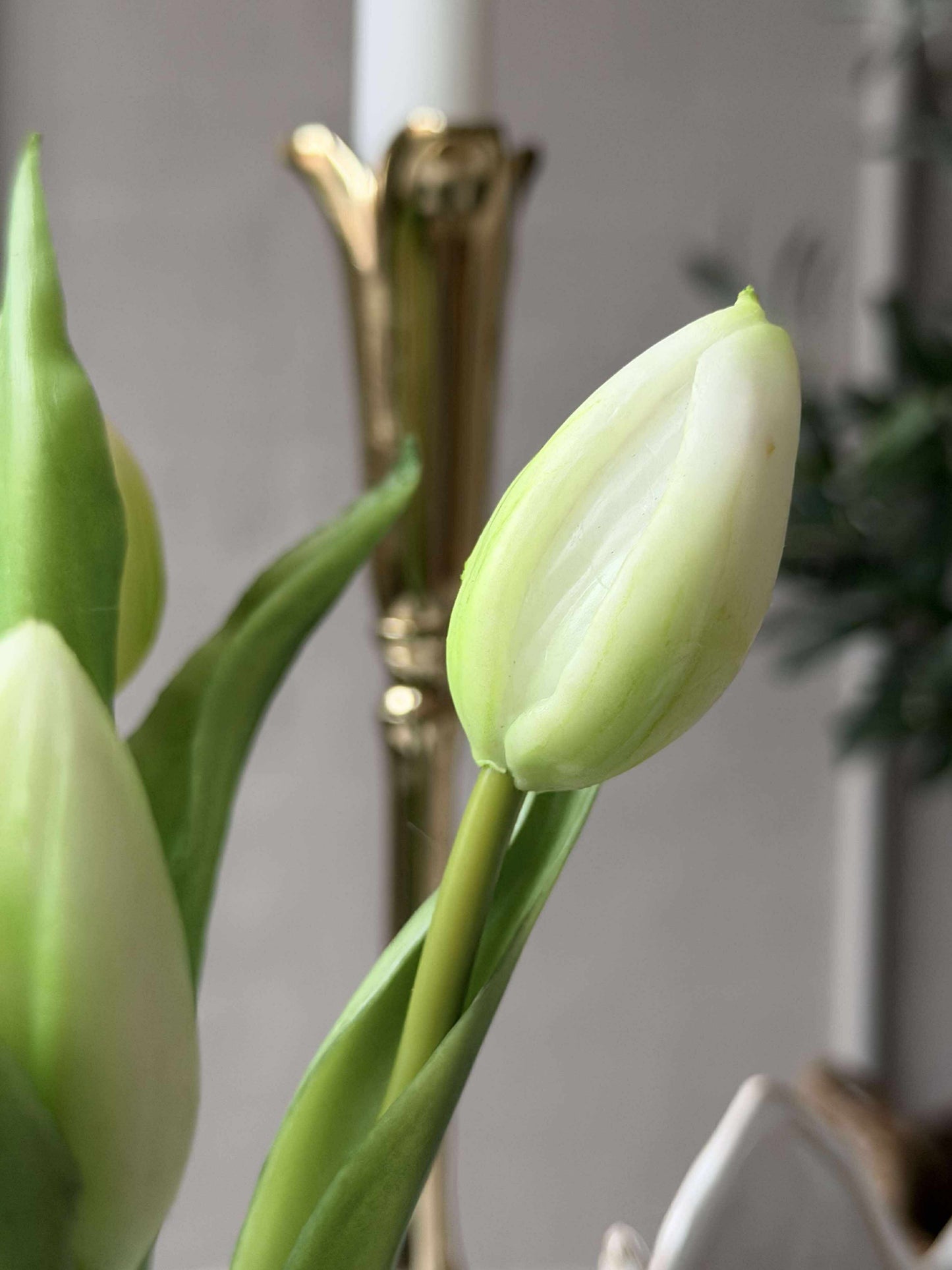 Tulipan i potte - Hvid