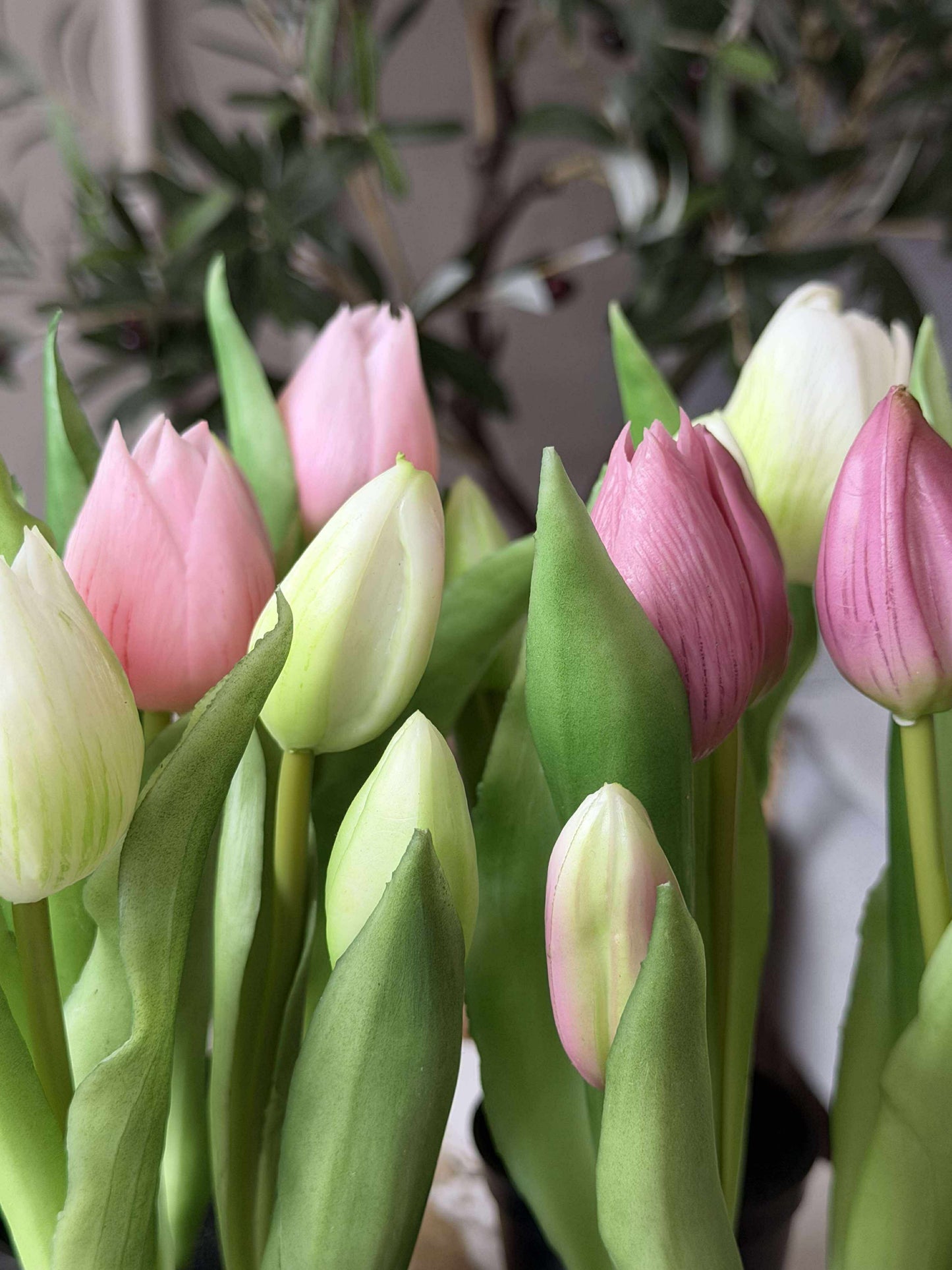 Tulipan i potte - Hvid Med 3 Blomster