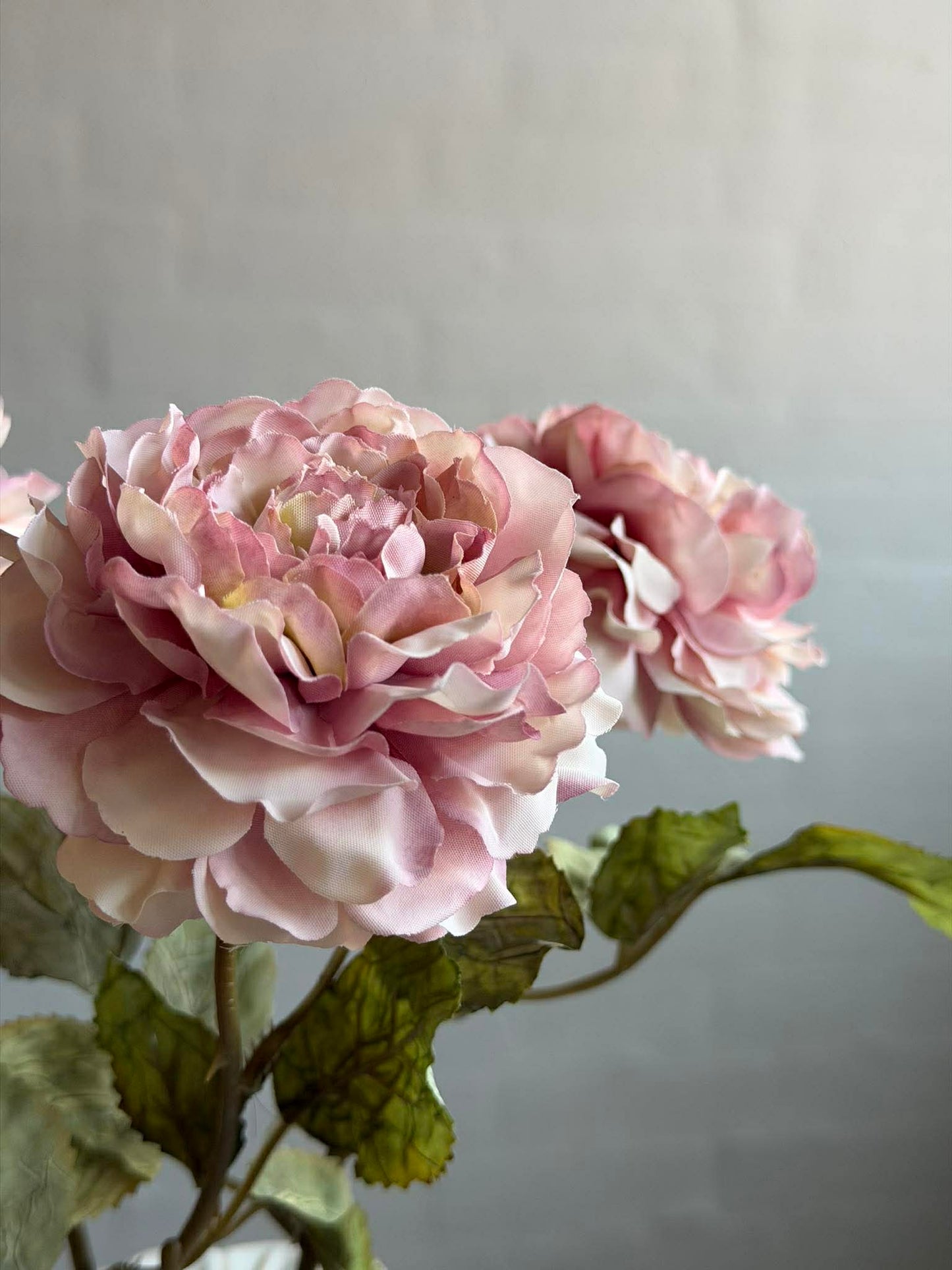 Rose 38cm – Dusty pink