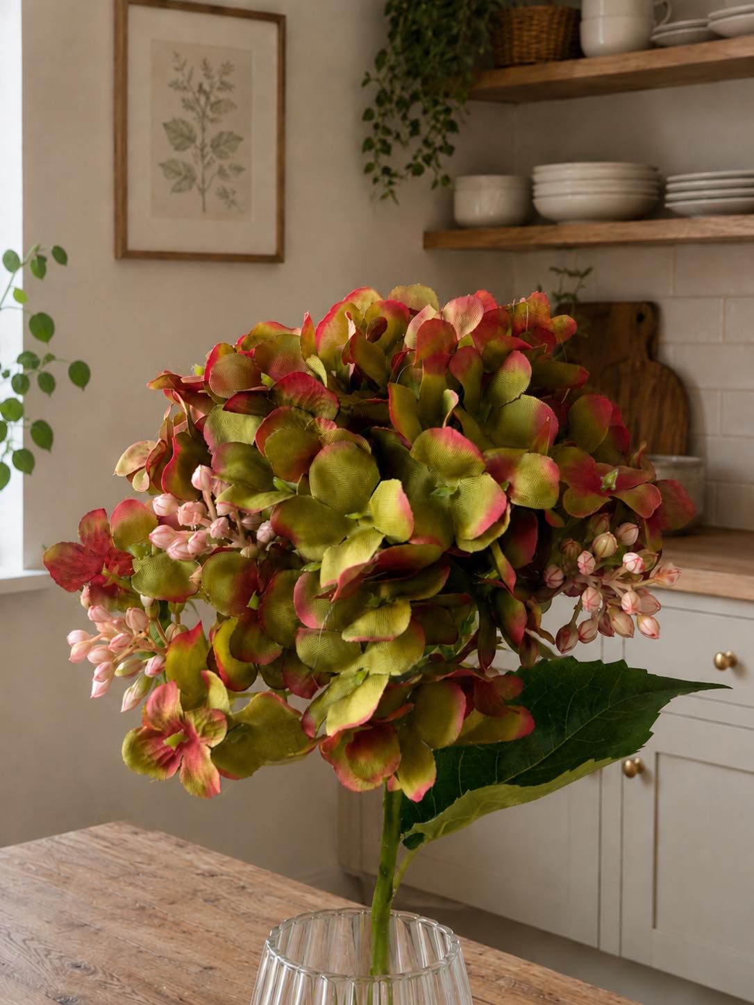 Hortensia grøn - 48 cm