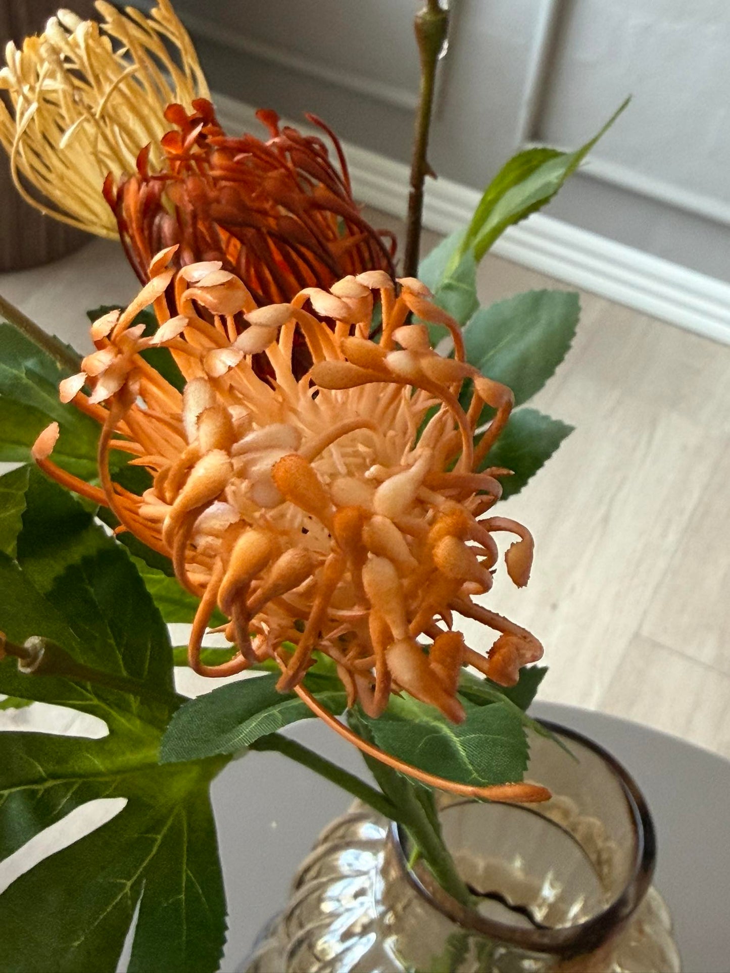 Blomstergren Krysantemum - Flere farver