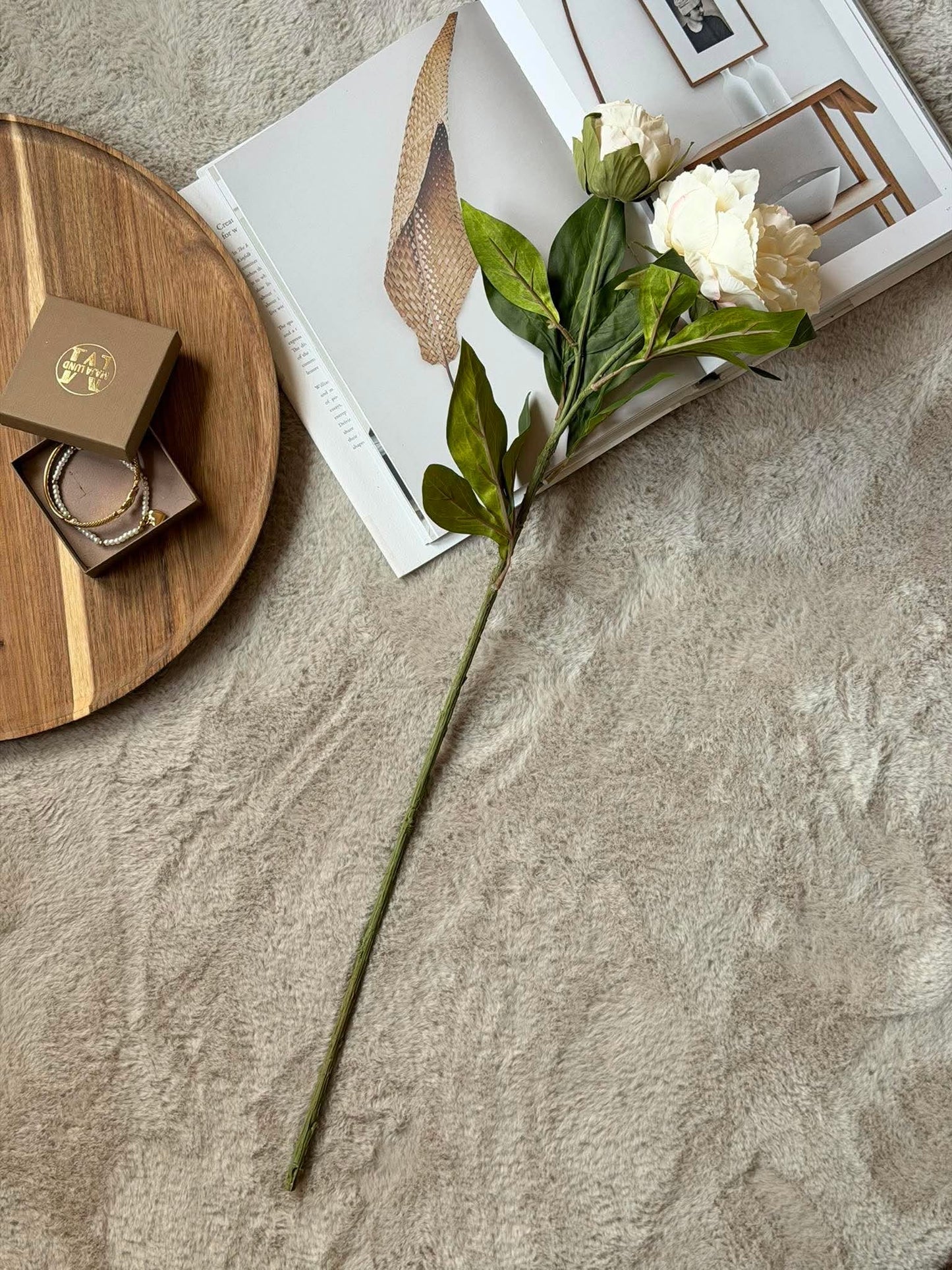Pæon 69 cm - creme