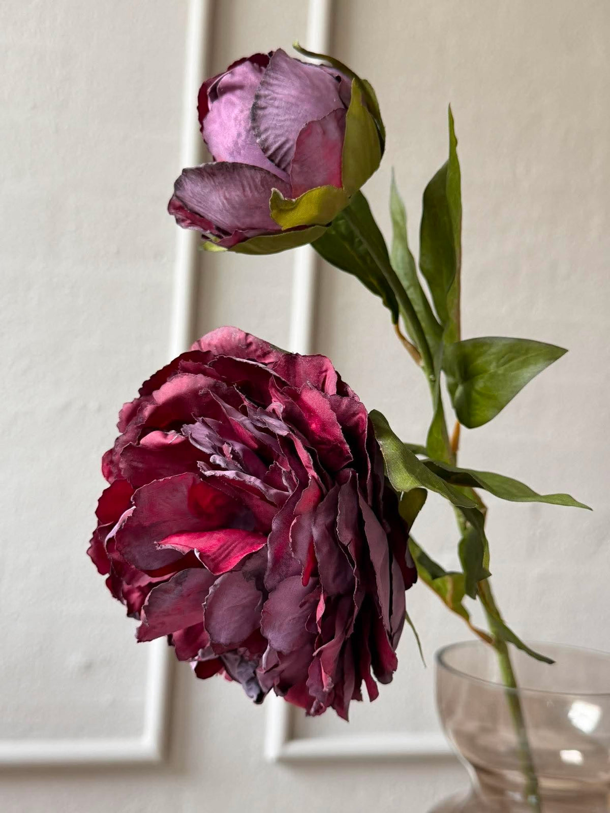Pæon 69 cm - Bordeaux