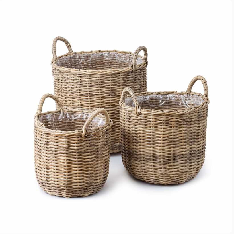 Plantekurve i natur - 3 stk