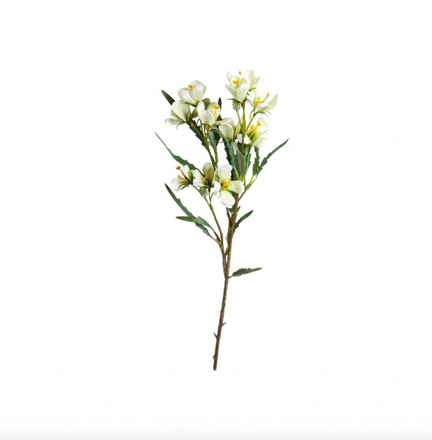 Spiræa stilk