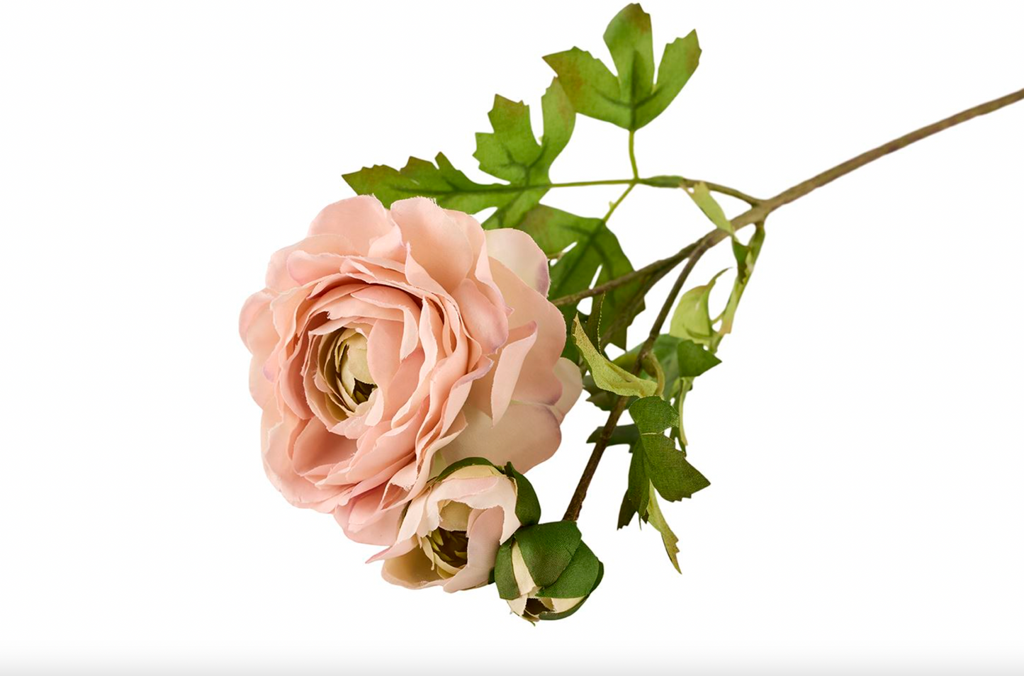 Ranunkel 50cm - Rosa