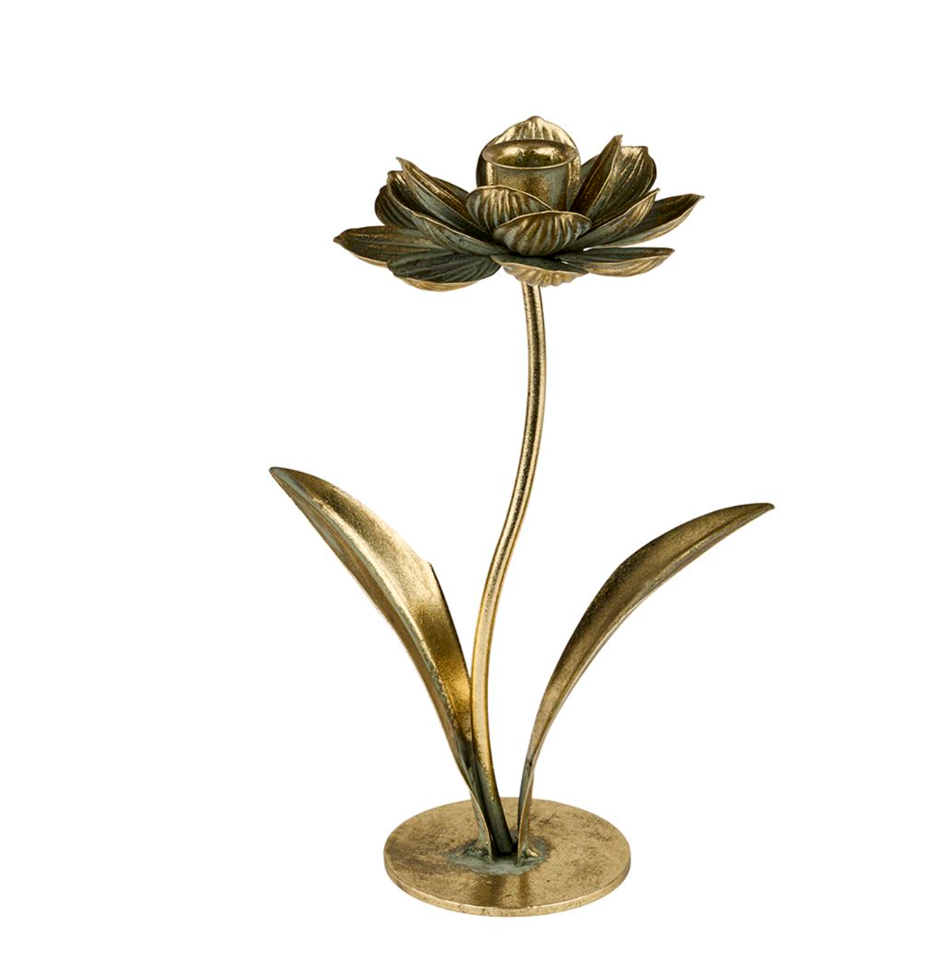 Lysestage golden flower