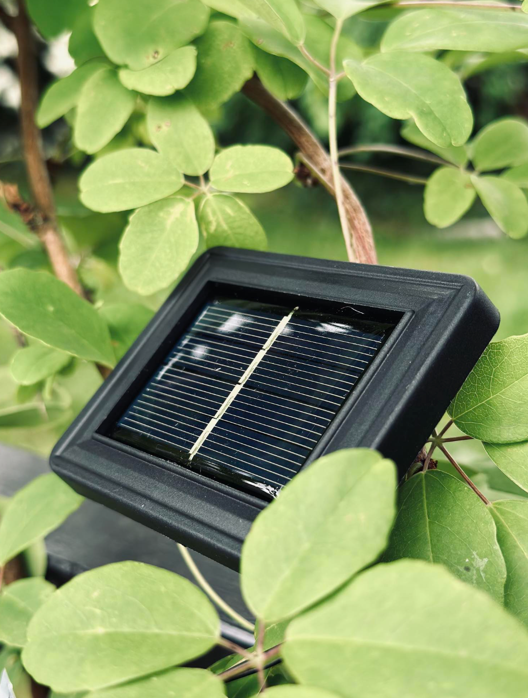 Lyskæde BELLA med solceller og 15 pærer