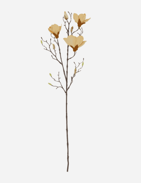 Blomst, Mangnolia, Råhvid - VIAMAJA.DK