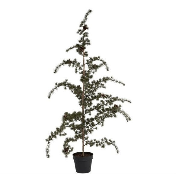 Cedertræ med potte - Grøn 150cm - VIAMAJA.DK