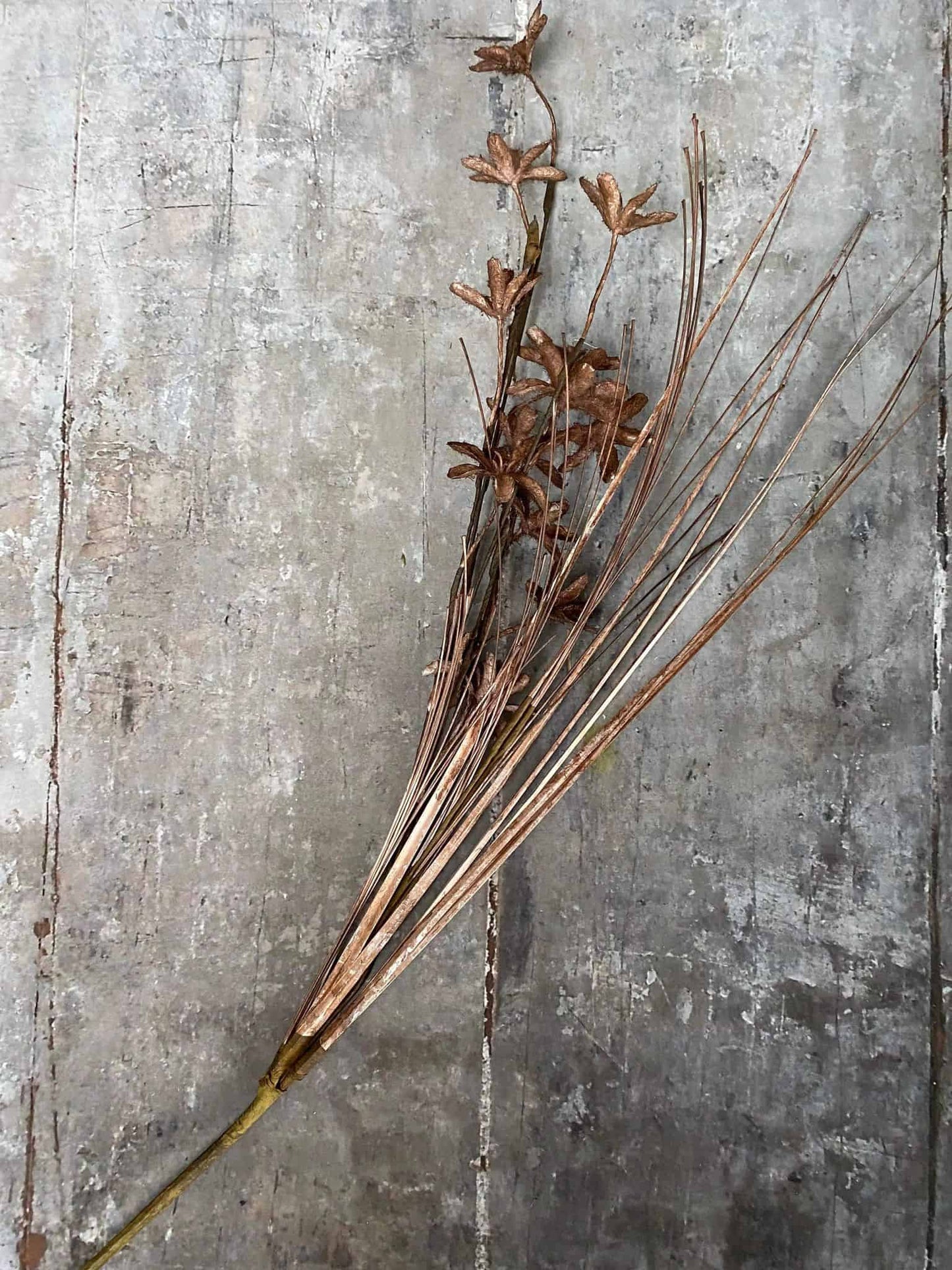 Evighedsblomst – Stilk 60cm Brun - VIAMAJA.DK