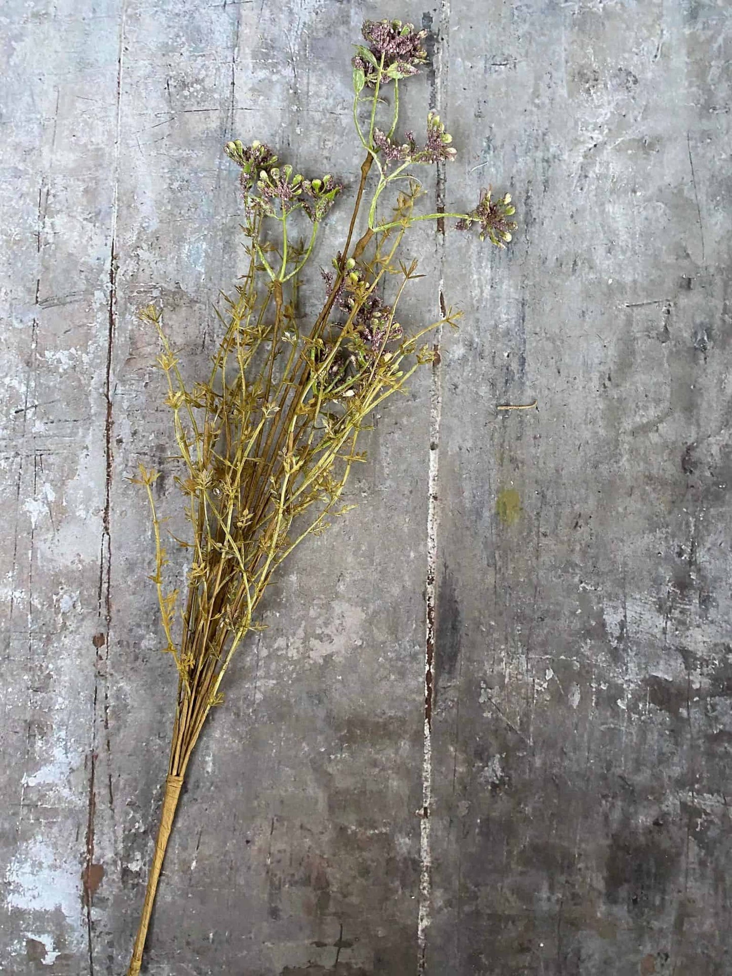 Evighedsblomst – Stilk 60cm Lilla - VIAMAJA.DK