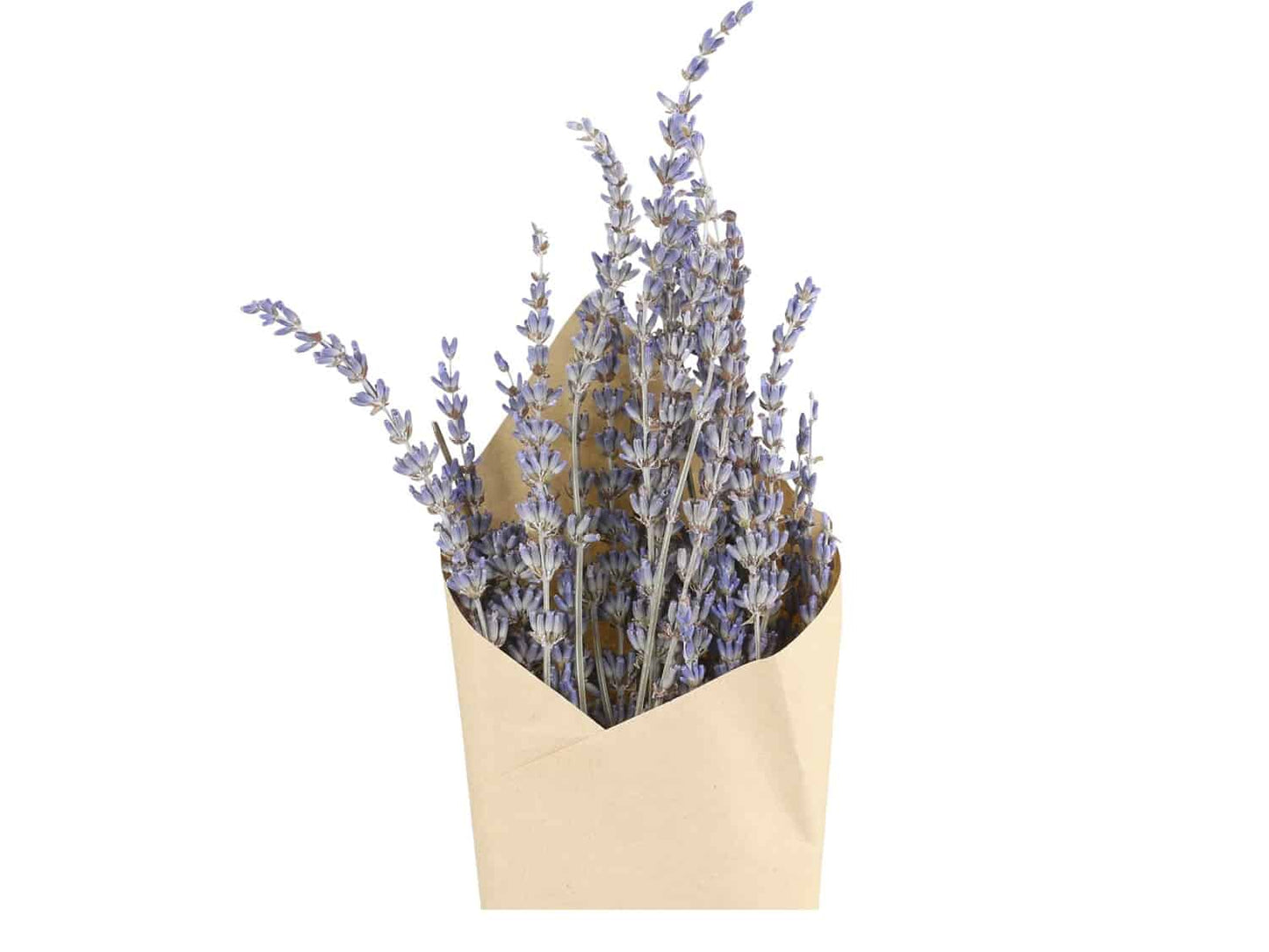 Evighedsbuket - Lavendel - VIAMAJA.DK
