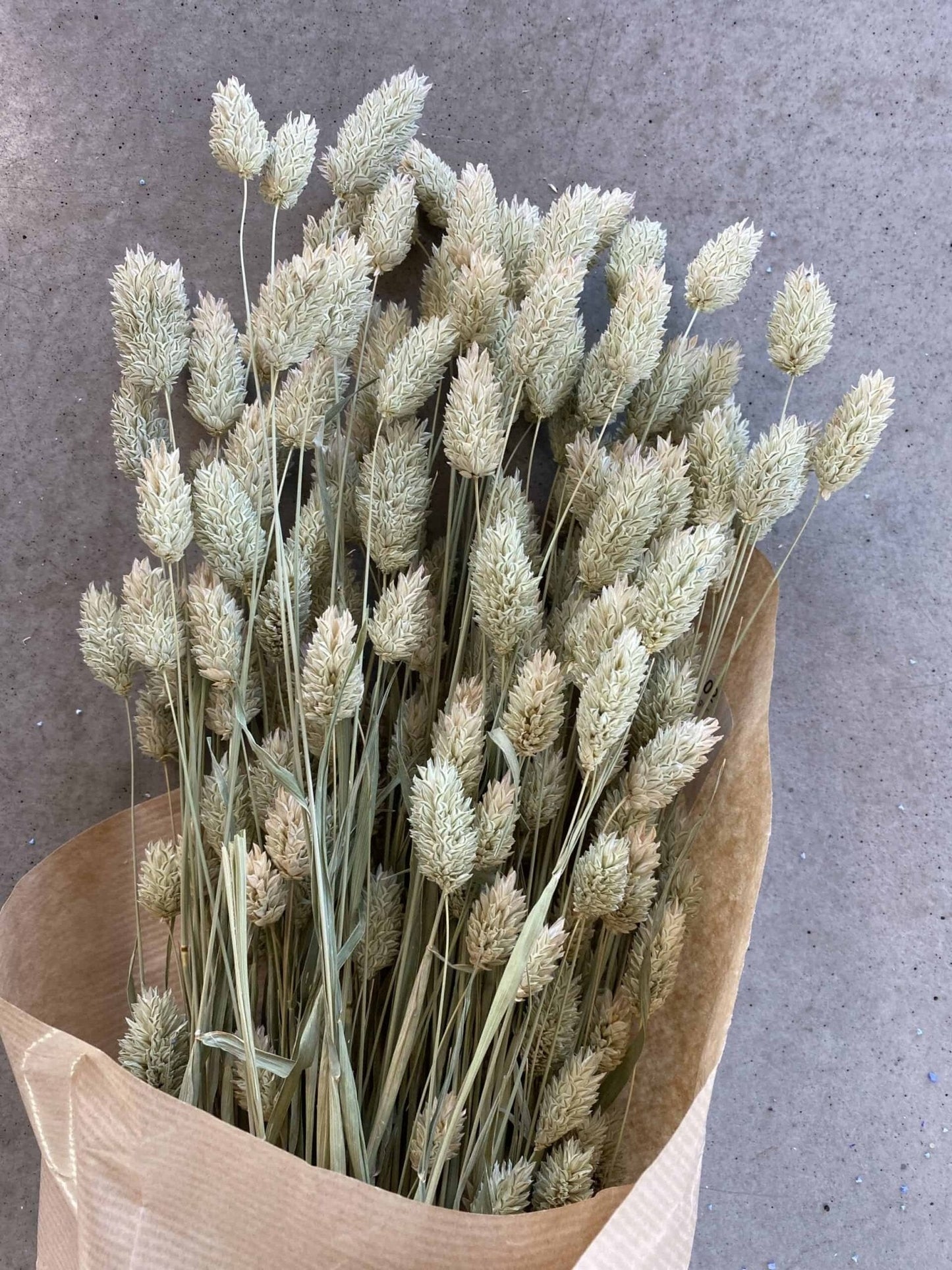 Evighedsbuket - Poa Natur - VIAMAJA.DK