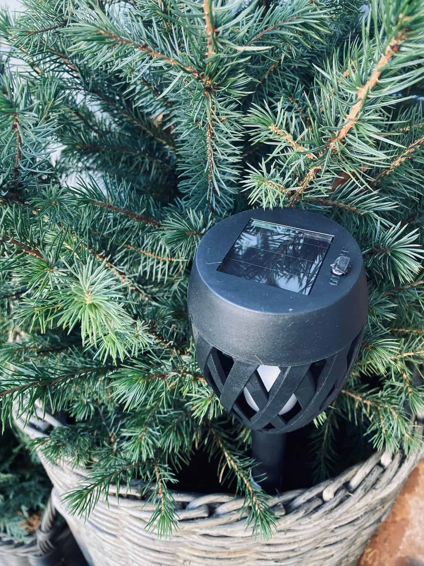 Fakkel med solceller - VIAMAJA.DK