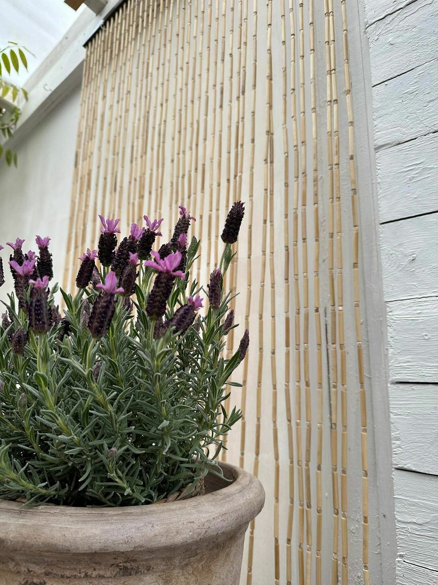 Forhæng i Bambus - 90x200cm - VIAMAJA.DK