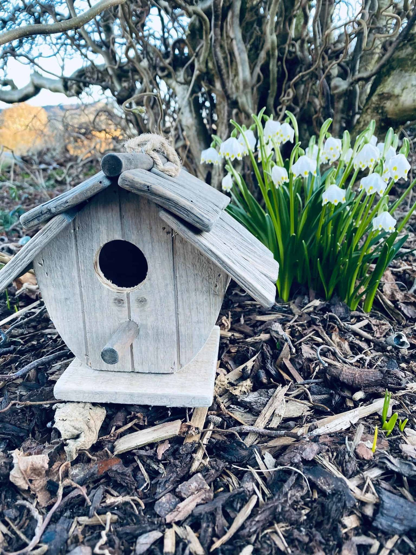 Fuglehus - Den buttede - VIAMAJA.DK