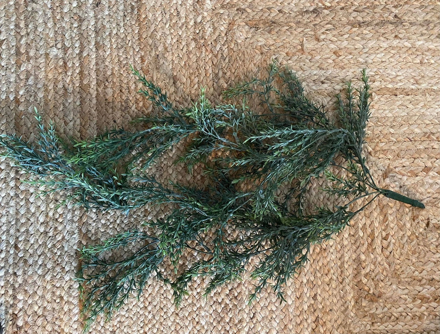 Hængeplante på stilk - No. 1 - VIAMAJA.DK