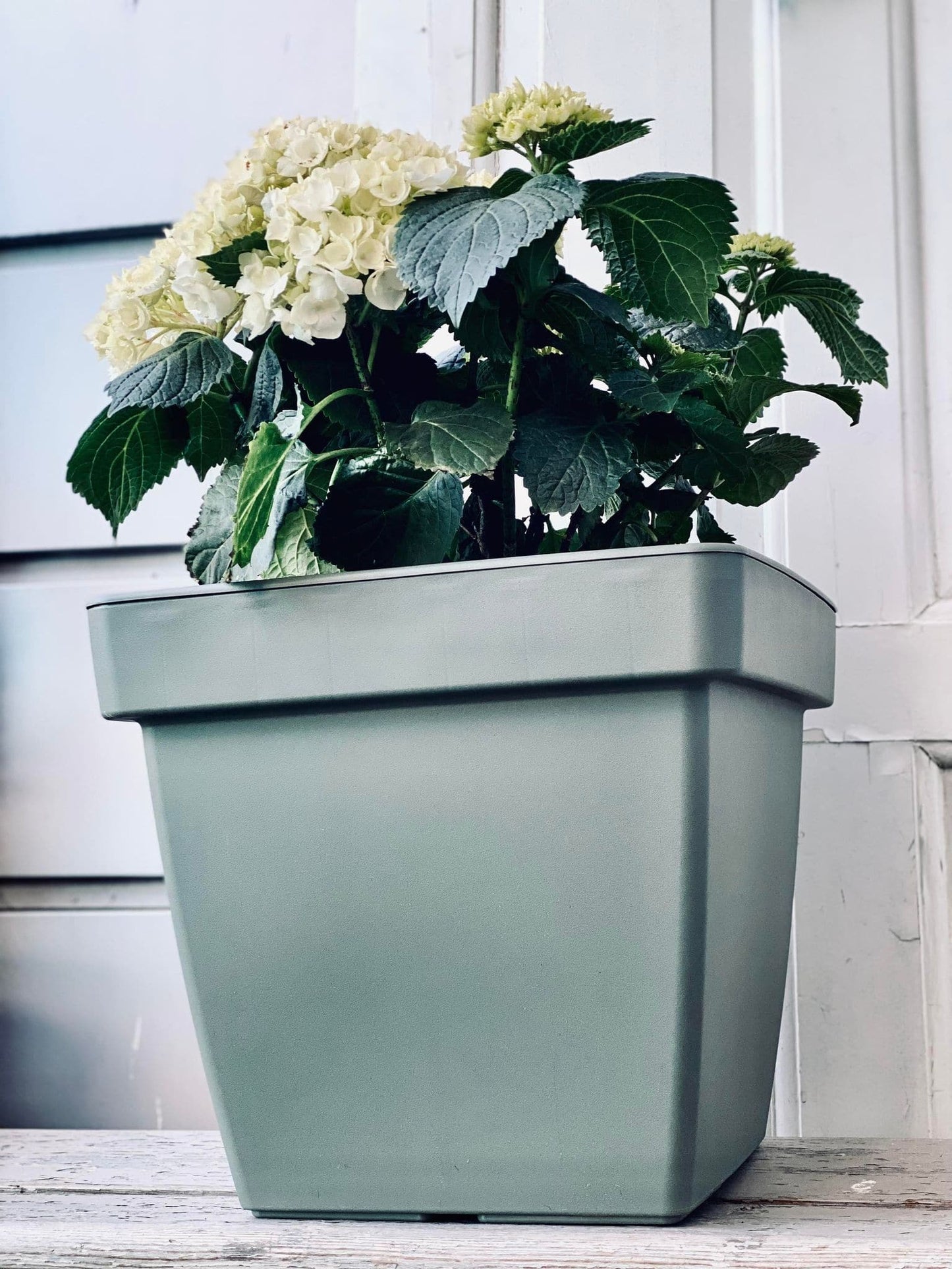 Havekrukke SQUARE - Recycling Grøn - VIAMAJA.DK