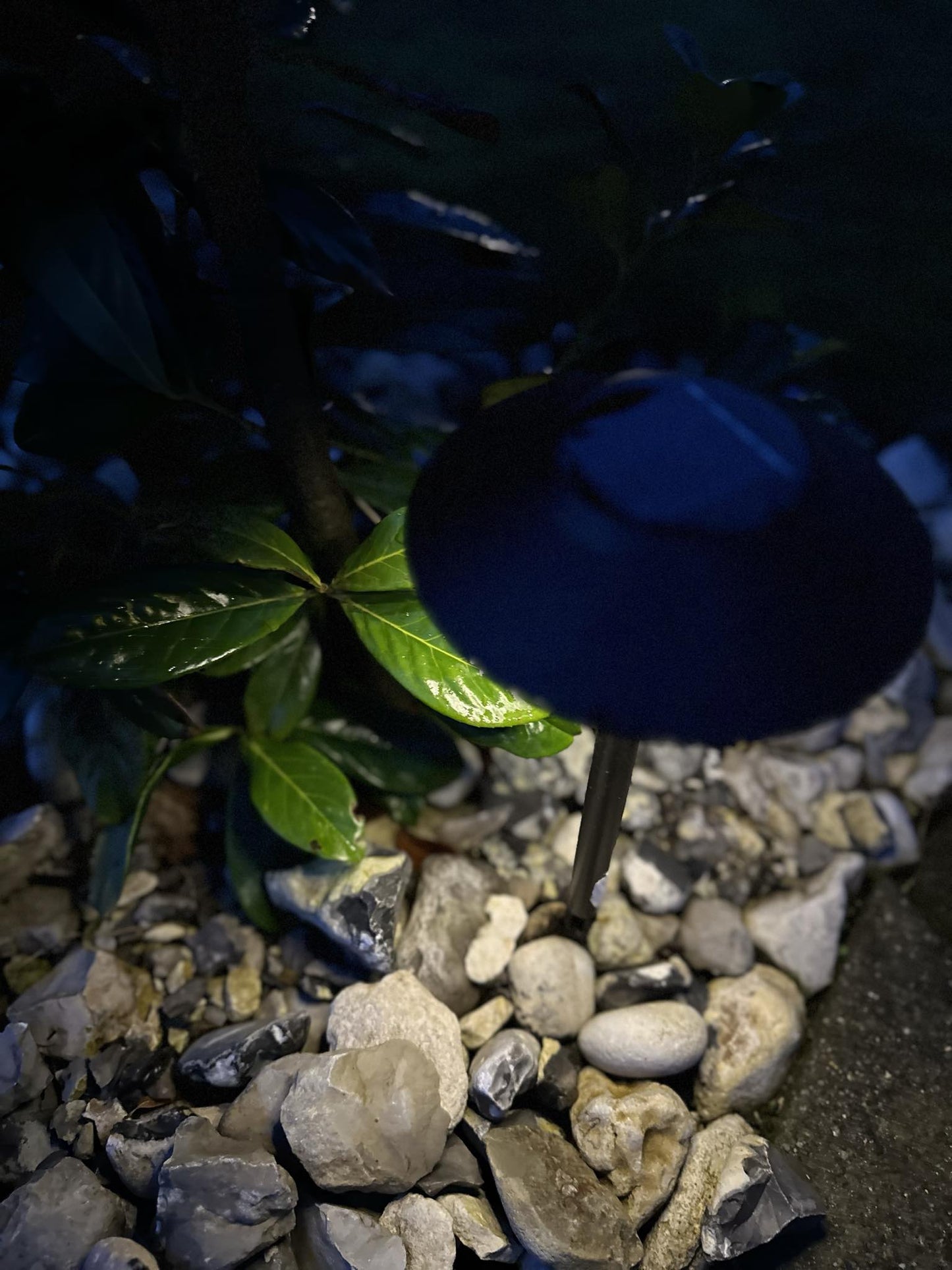 Havelampe m. Solceller – Sæt af 2 stk - VIAMAJA.DK