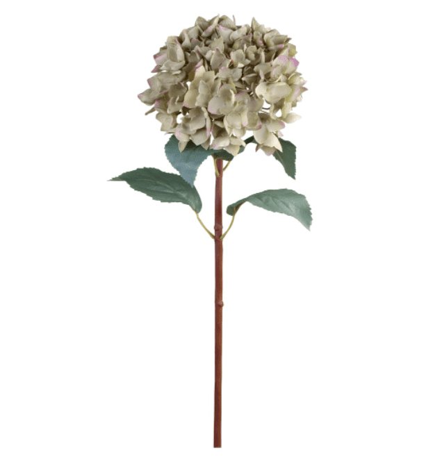 Hortensia m. blade H80cm - VIAMAJA.DK