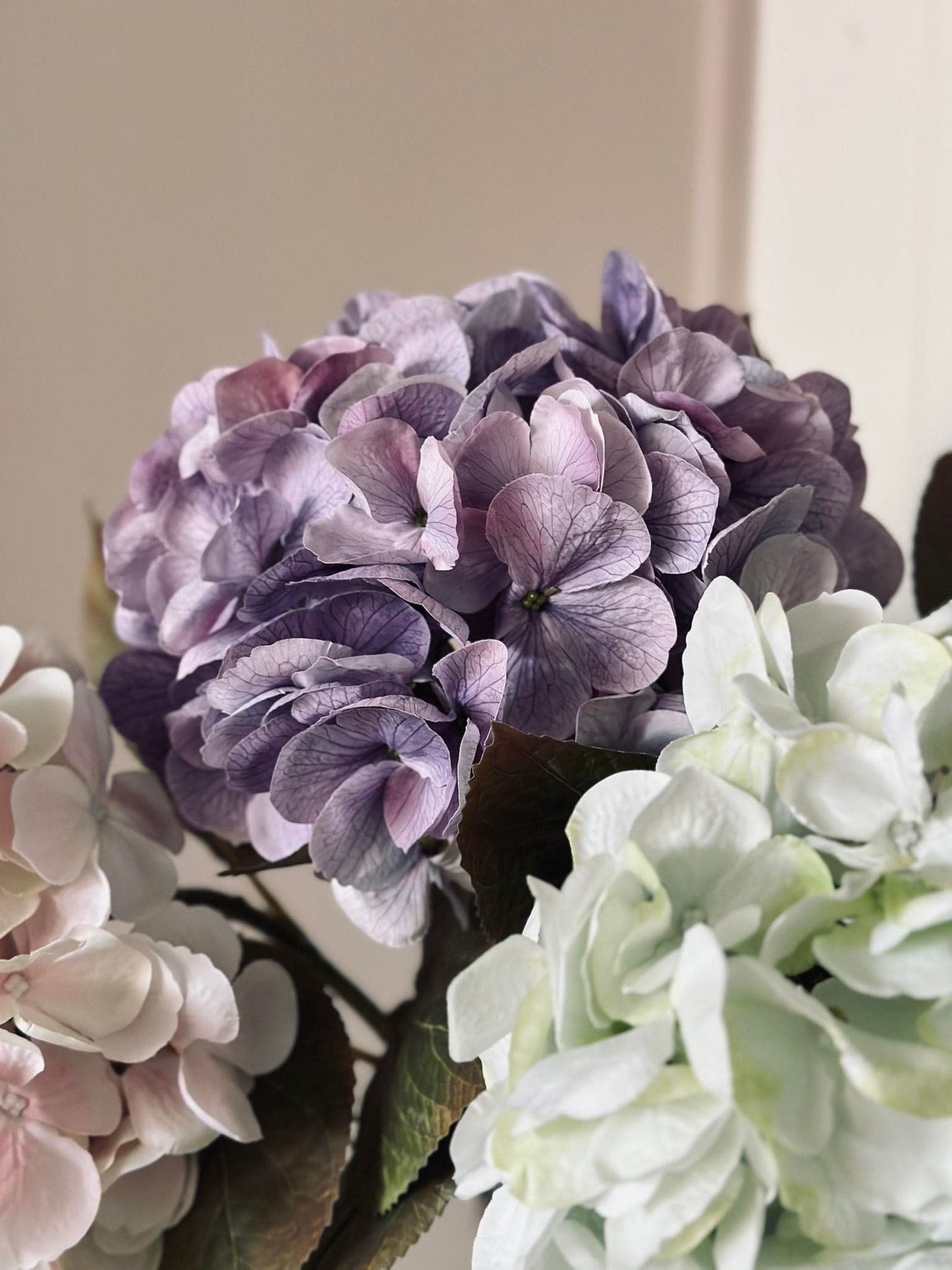 Hotensia Lilla - VIAMAJA.DK