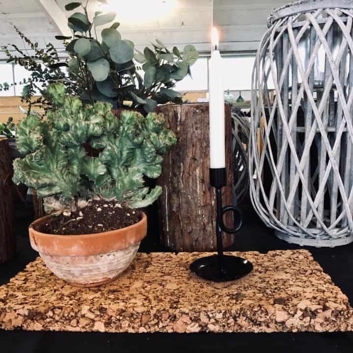 Korkplade 23x48cm - Tapas 3cm - VIAMAJA.DK