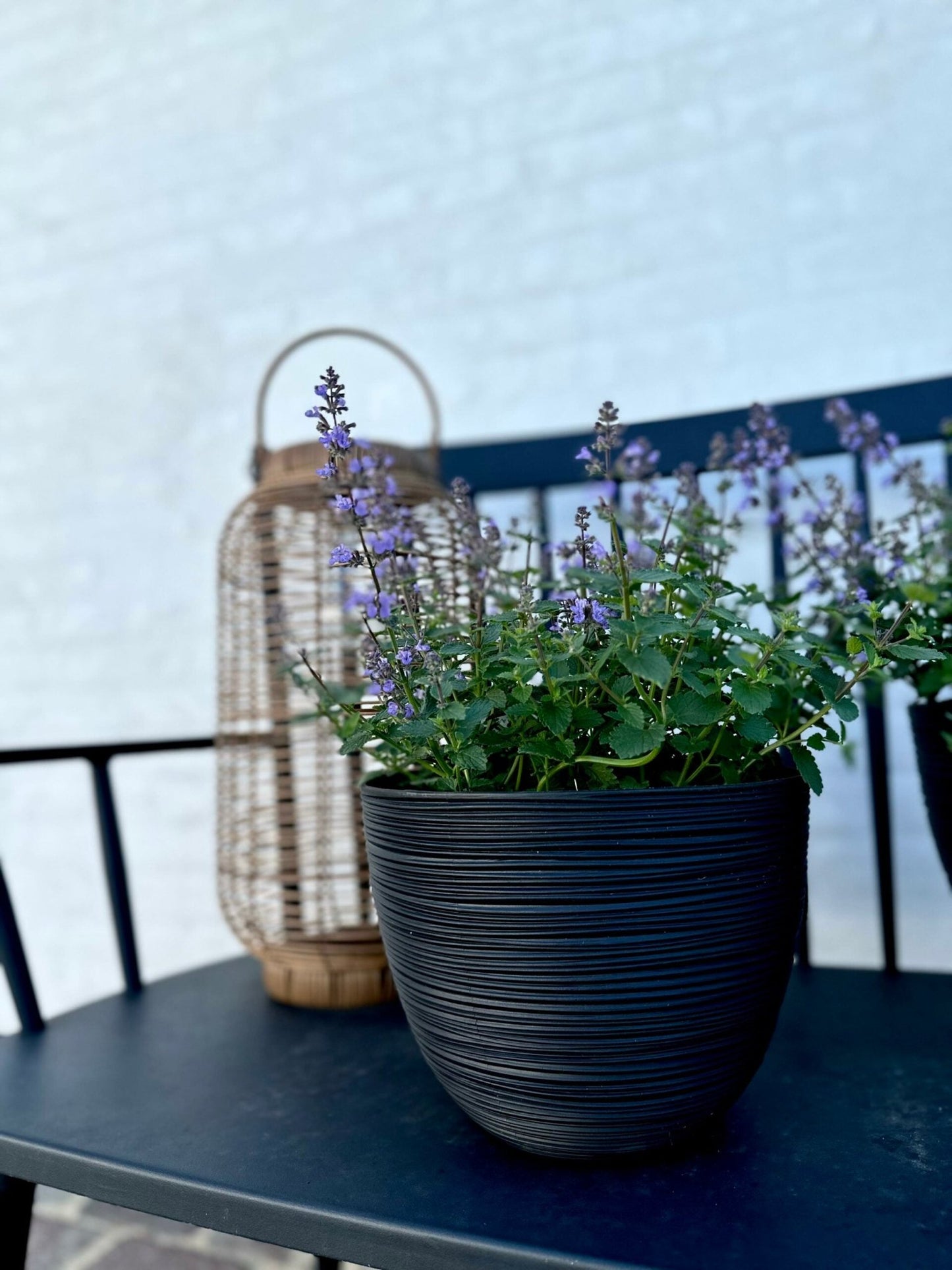 Krukke med riller – Black small - VIAMAJA.DK