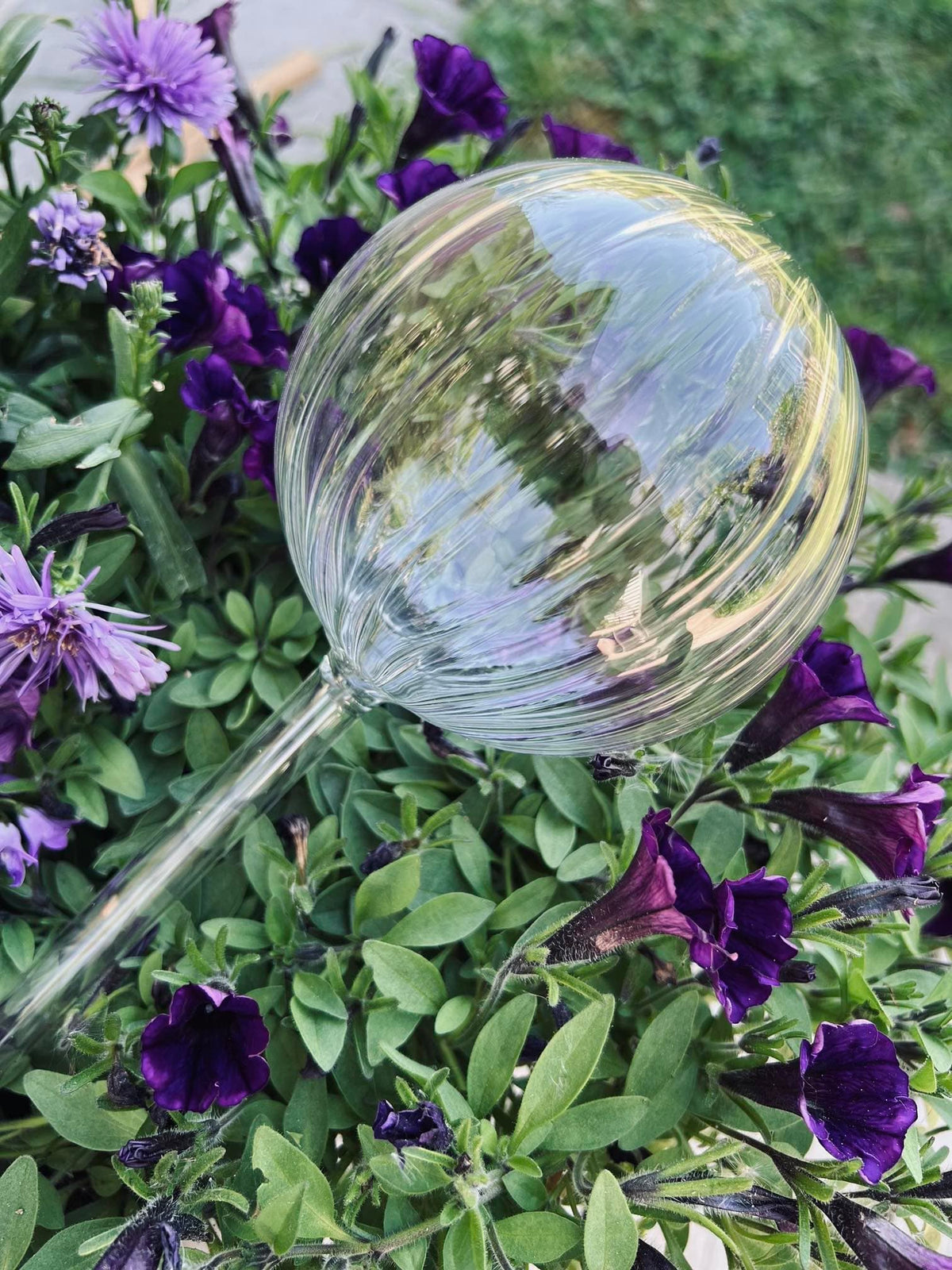 Kugler i klar glas - Sæt af 2 stk til vanding af blomster - VIAMAJA.DK