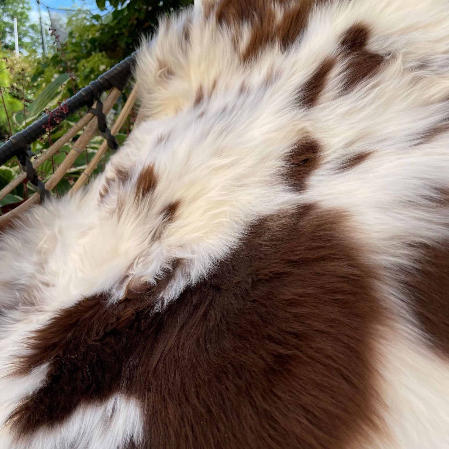 Lammeskind - flot naturskind - VIAMAJA.DK