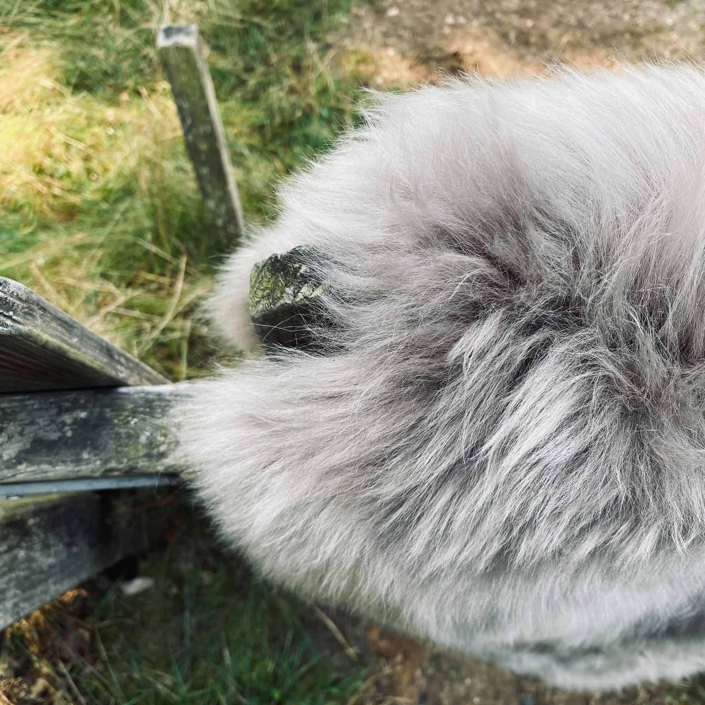 Lammeskind i flot mocca farve - VIAMAJA.DK