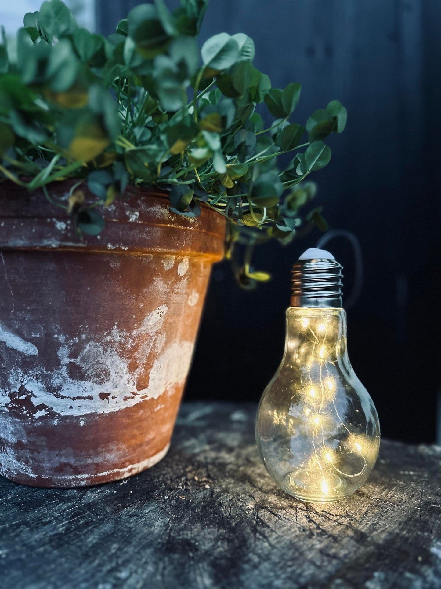 Lampe - LED pære i glas med ophæng - VIAMAJA.DK