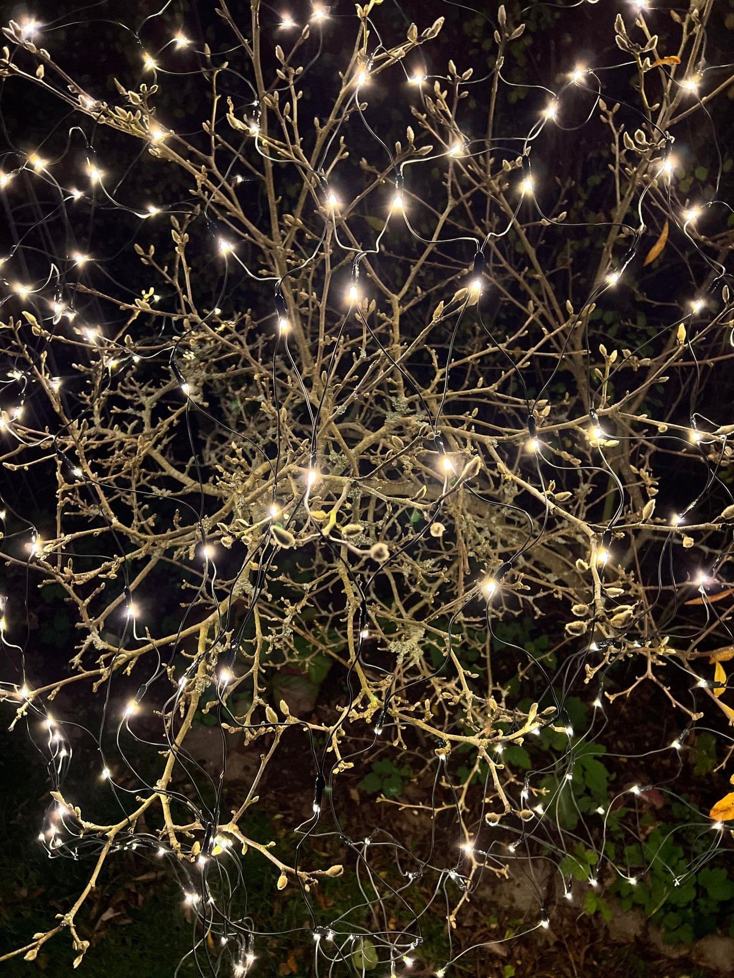 Led Lysnet med 480 lys - Godkendt til inde og ude med Timer - VIAMAJA.DK