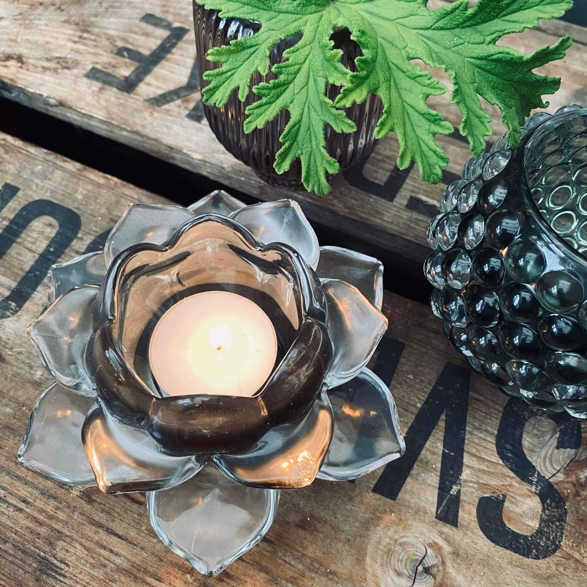 Lotus lysestage - røgfarvet glas - VIAMAJA.DK