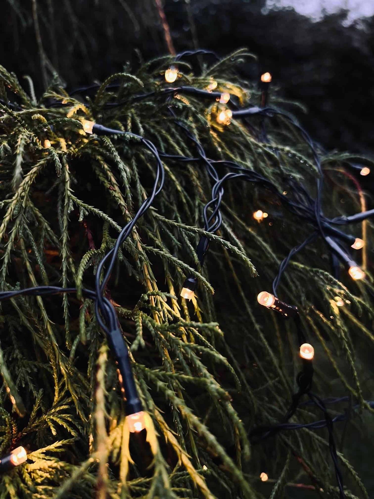 Lyskæde 240 LED med batteriboks - Godkendt Inde / Ude - VIAMAJA.DK