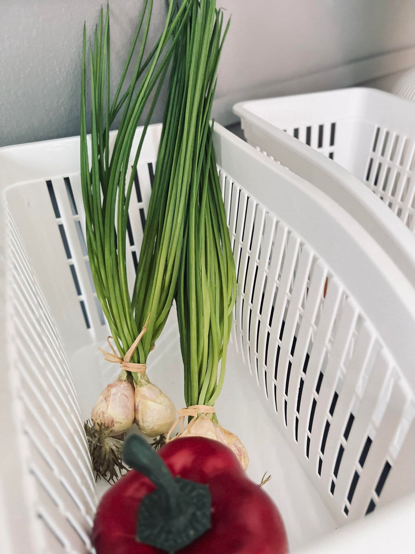 Opbevaring til køleskab - VIAMAJA.DK